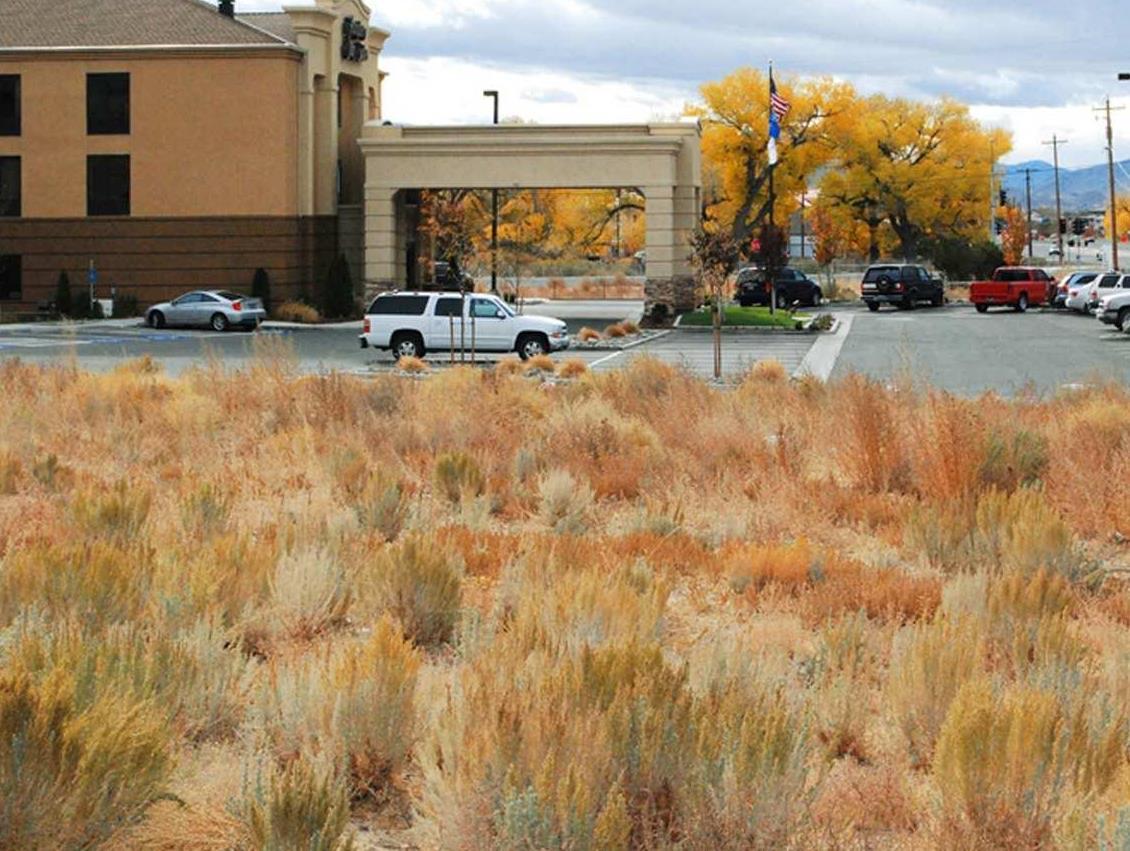 Ngoại cảnh khách sạn