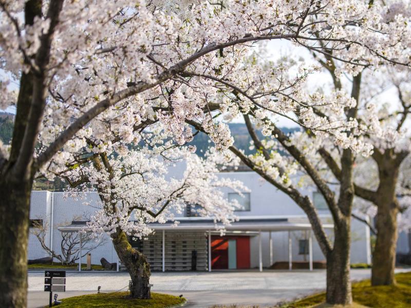 Ngoại cảnh khách sạn