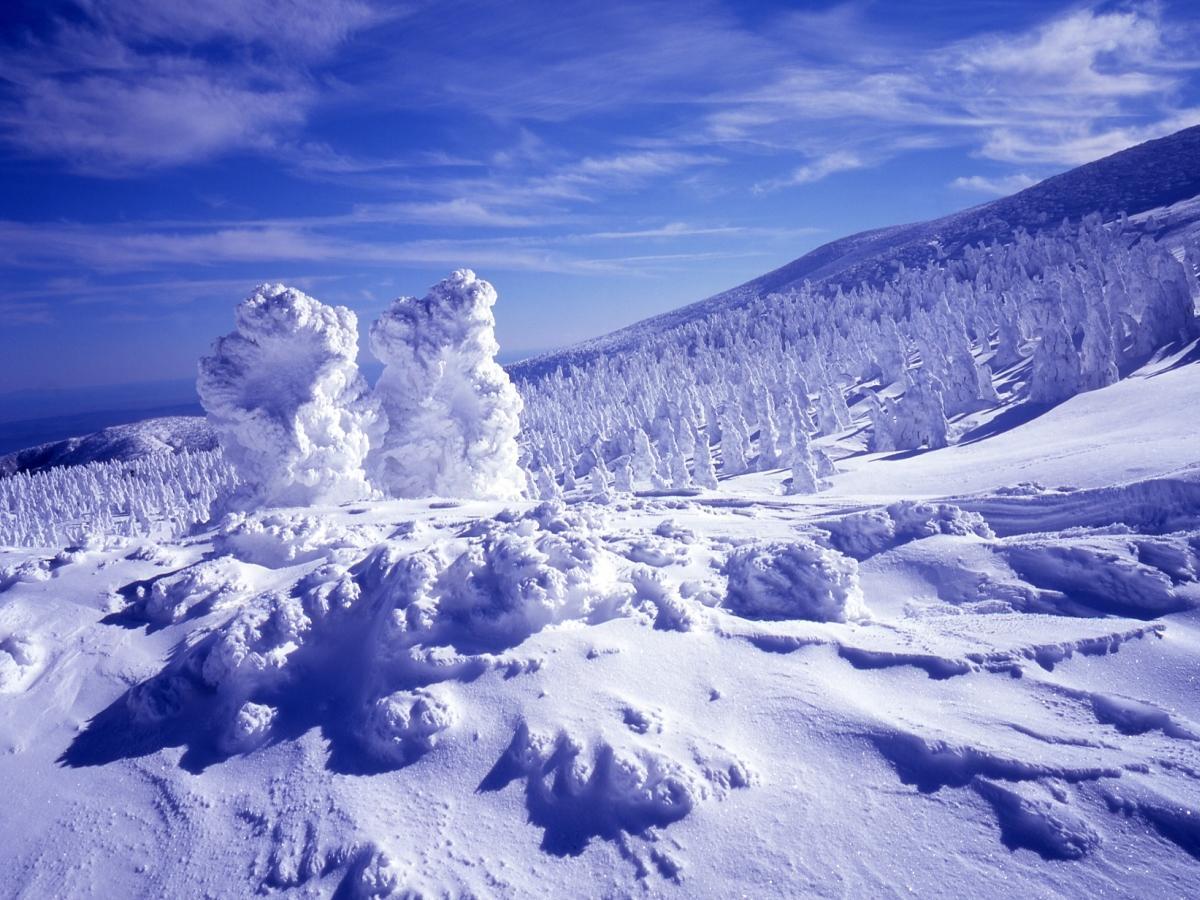 Nơi tham quan gần đây