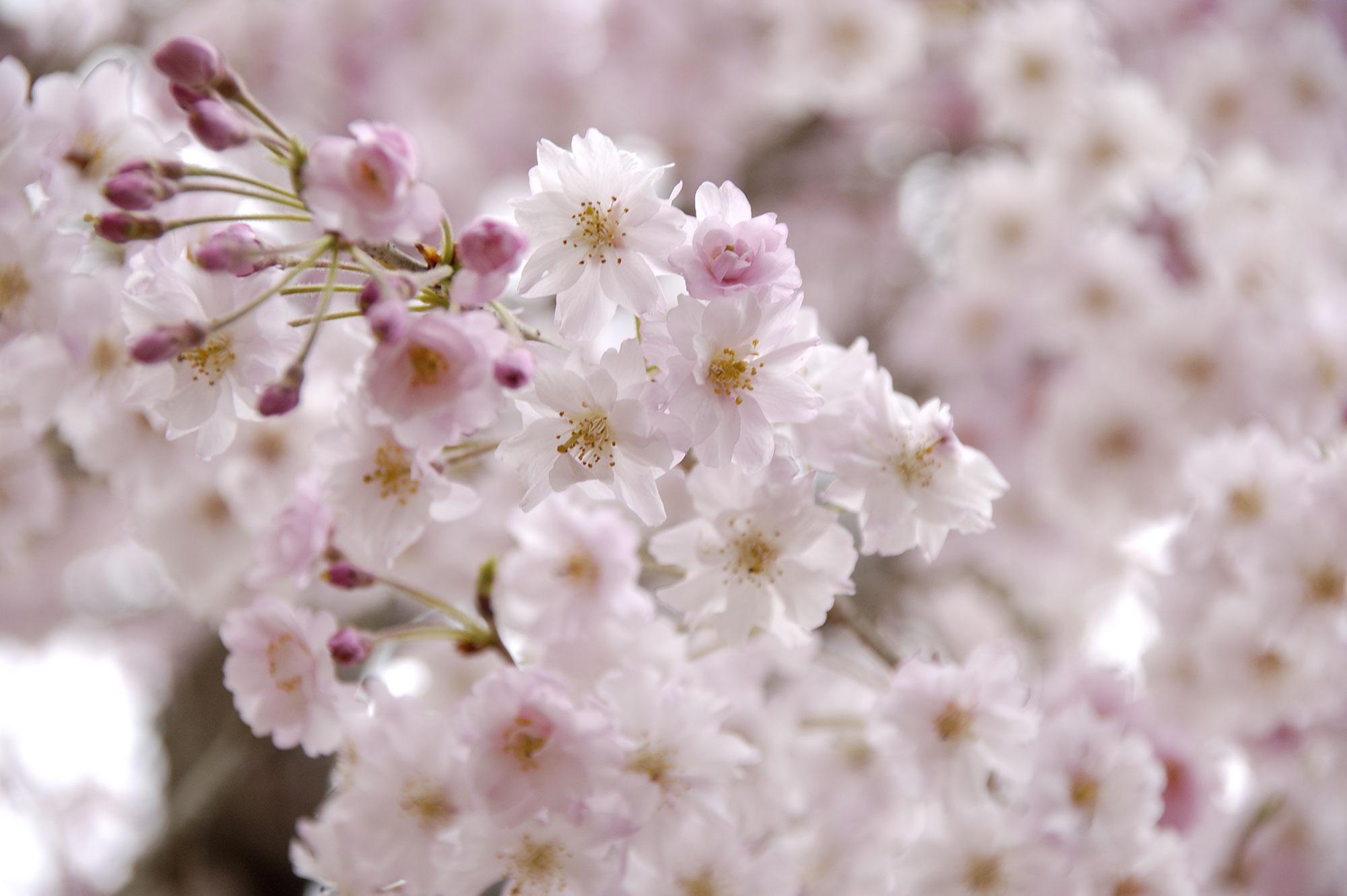 Nơi tham quan gần đây