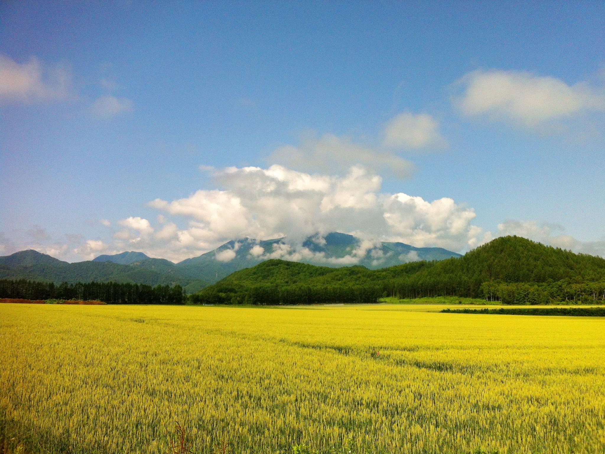 Khu vực xung quanh