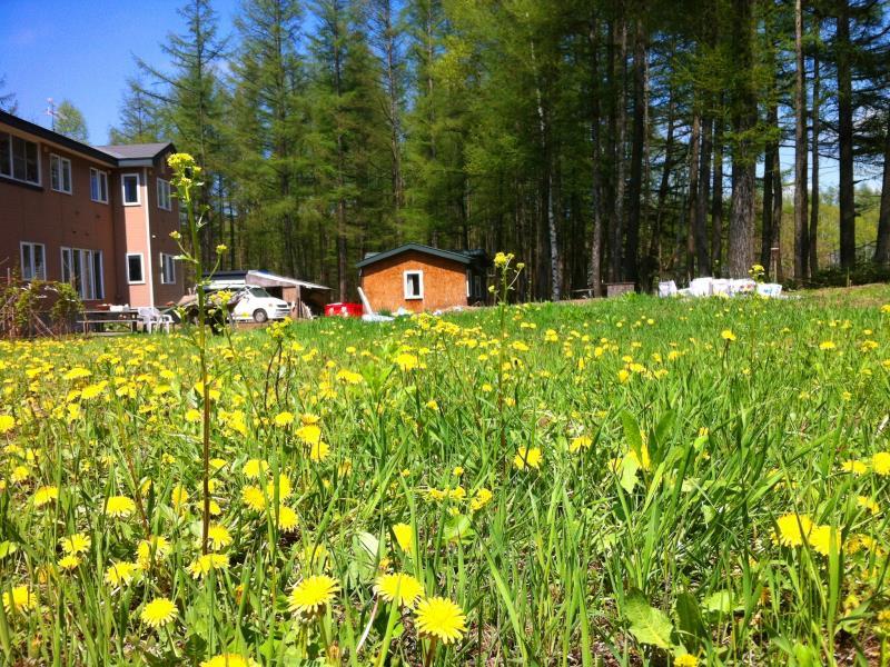 Khu vực xung quanh