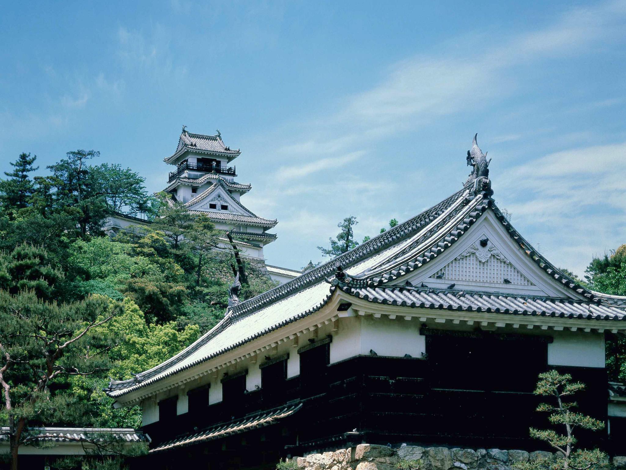 Nơi tham quan gần đây