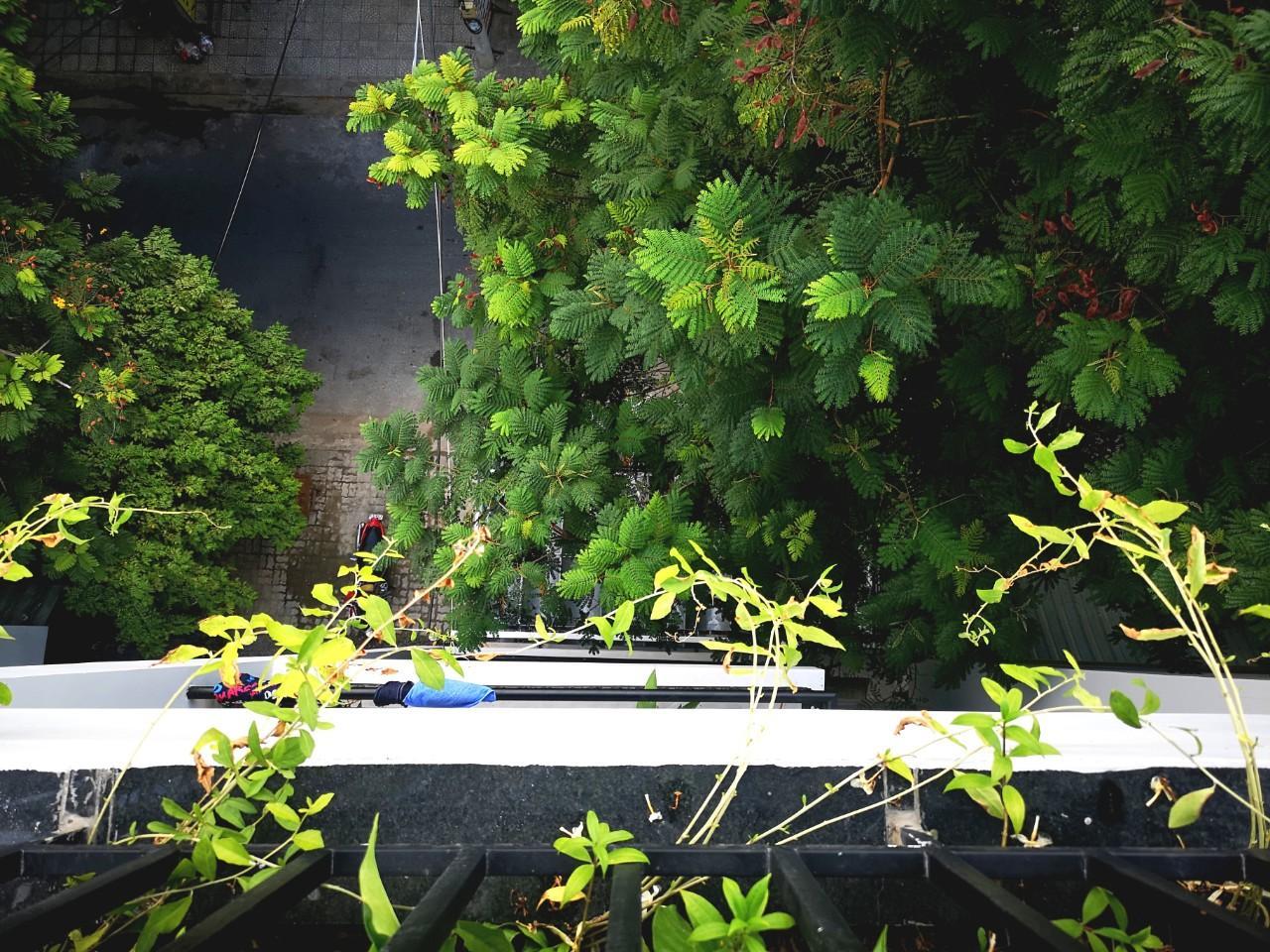 Ngoại cảnh khách sạn