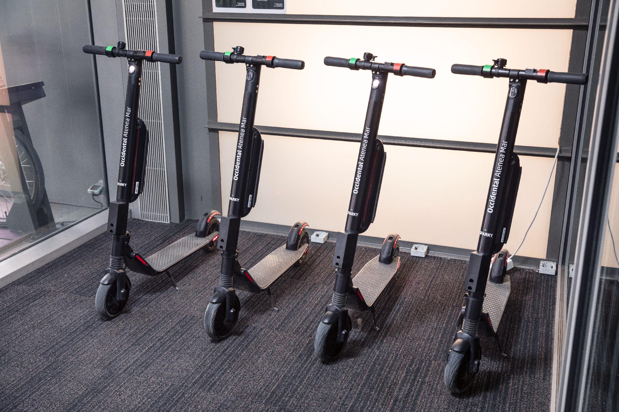 Thể thao và hoạt động