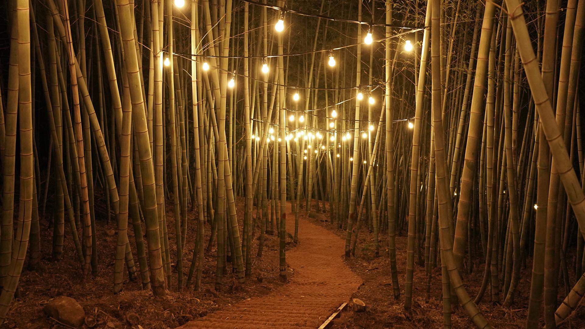 Khu vực xung quanh