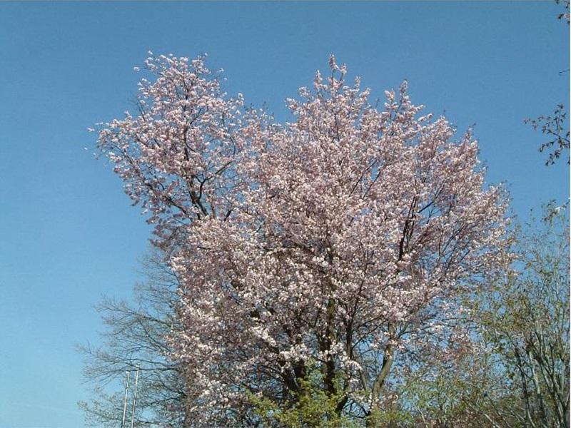 Khu vực xung quanh