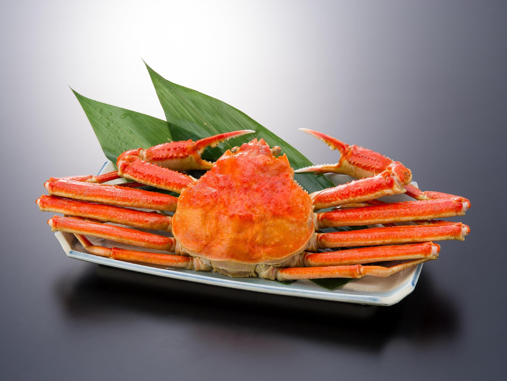 Đồ ăn và thức uống