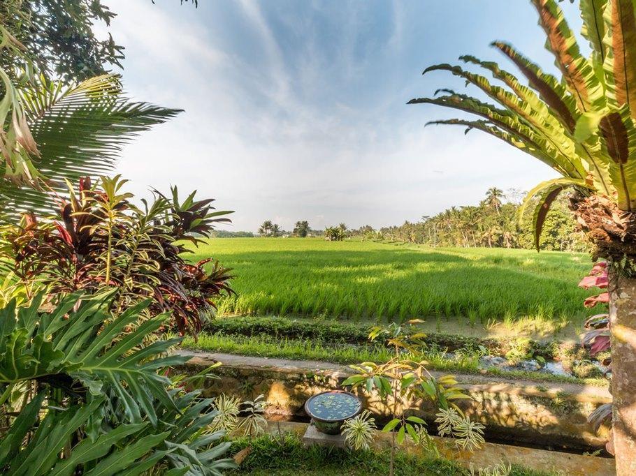 Khu vực xung quanh