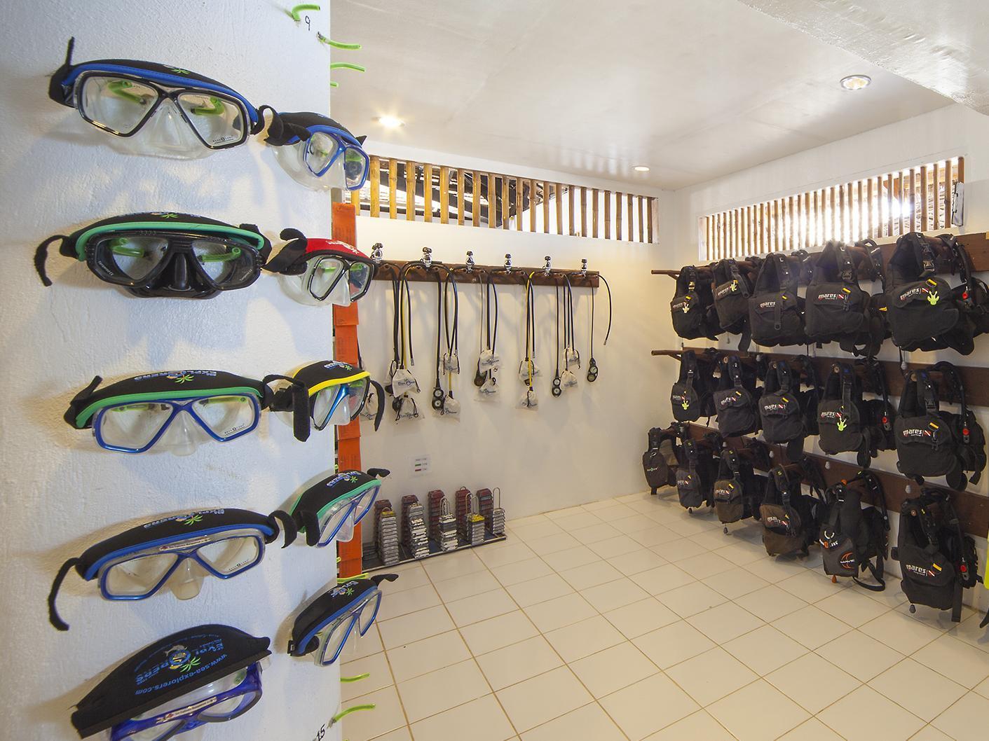 Thể thao và hoạt động