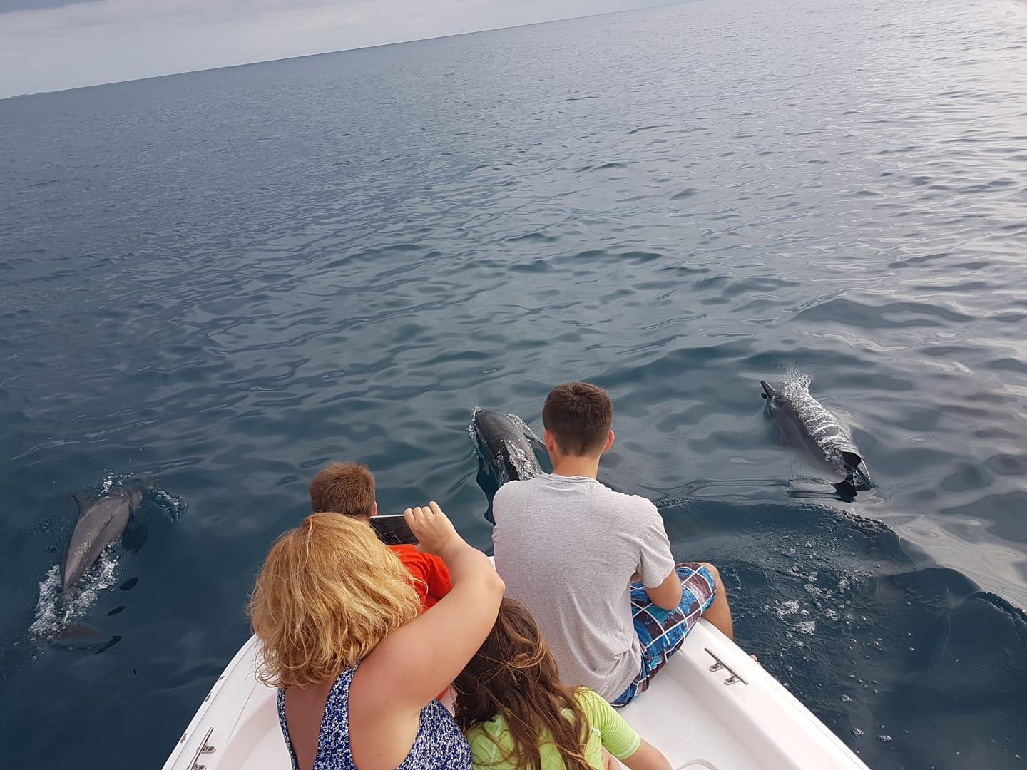 Thể thao và hoạt động