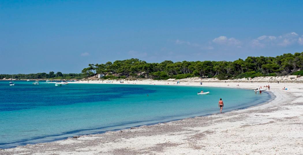 Khu vực xung quanh