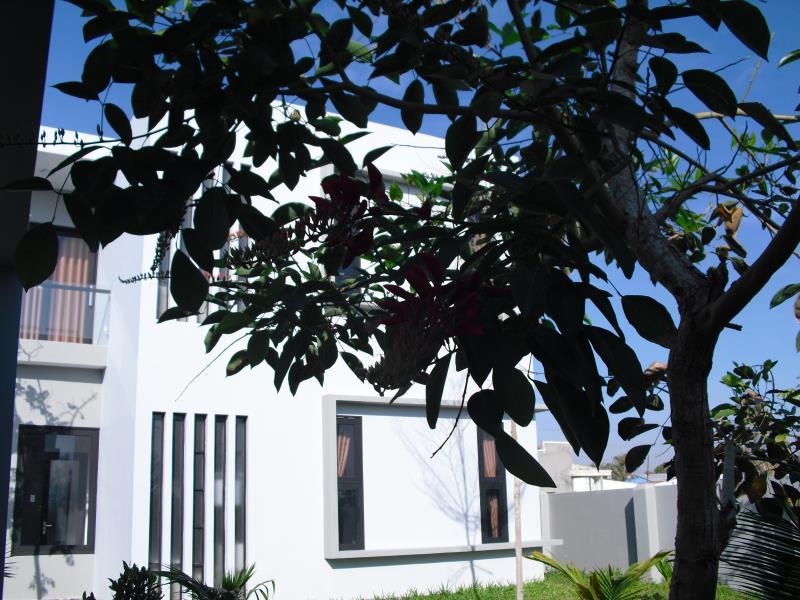 Cảnh quan