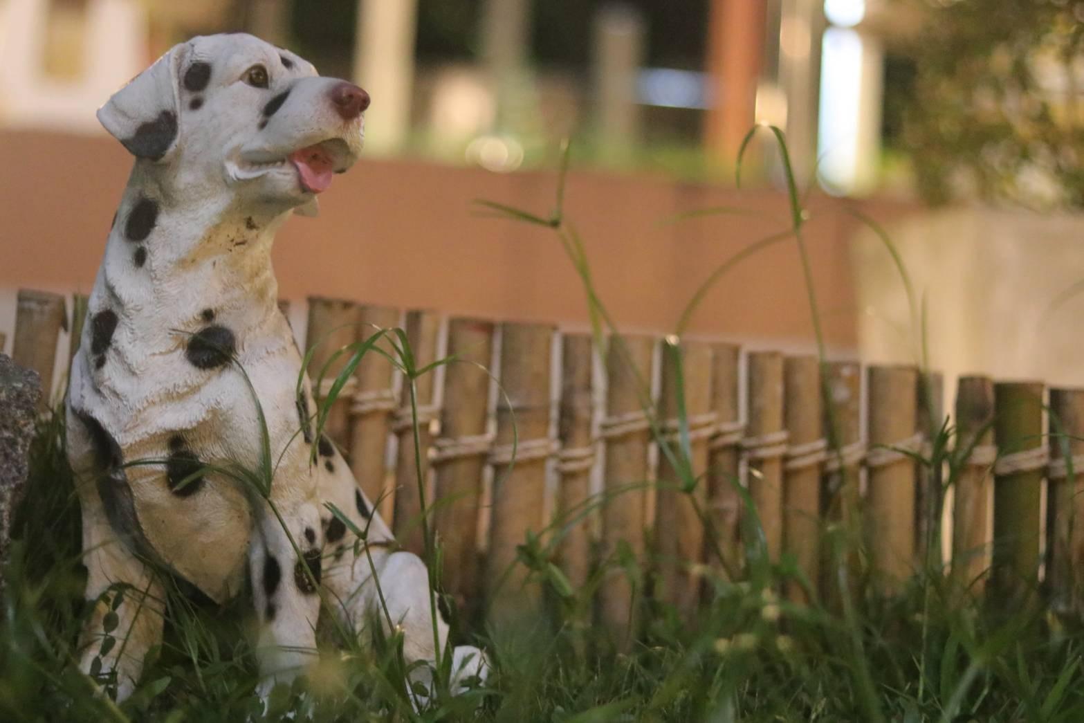 Khu vực công cộng