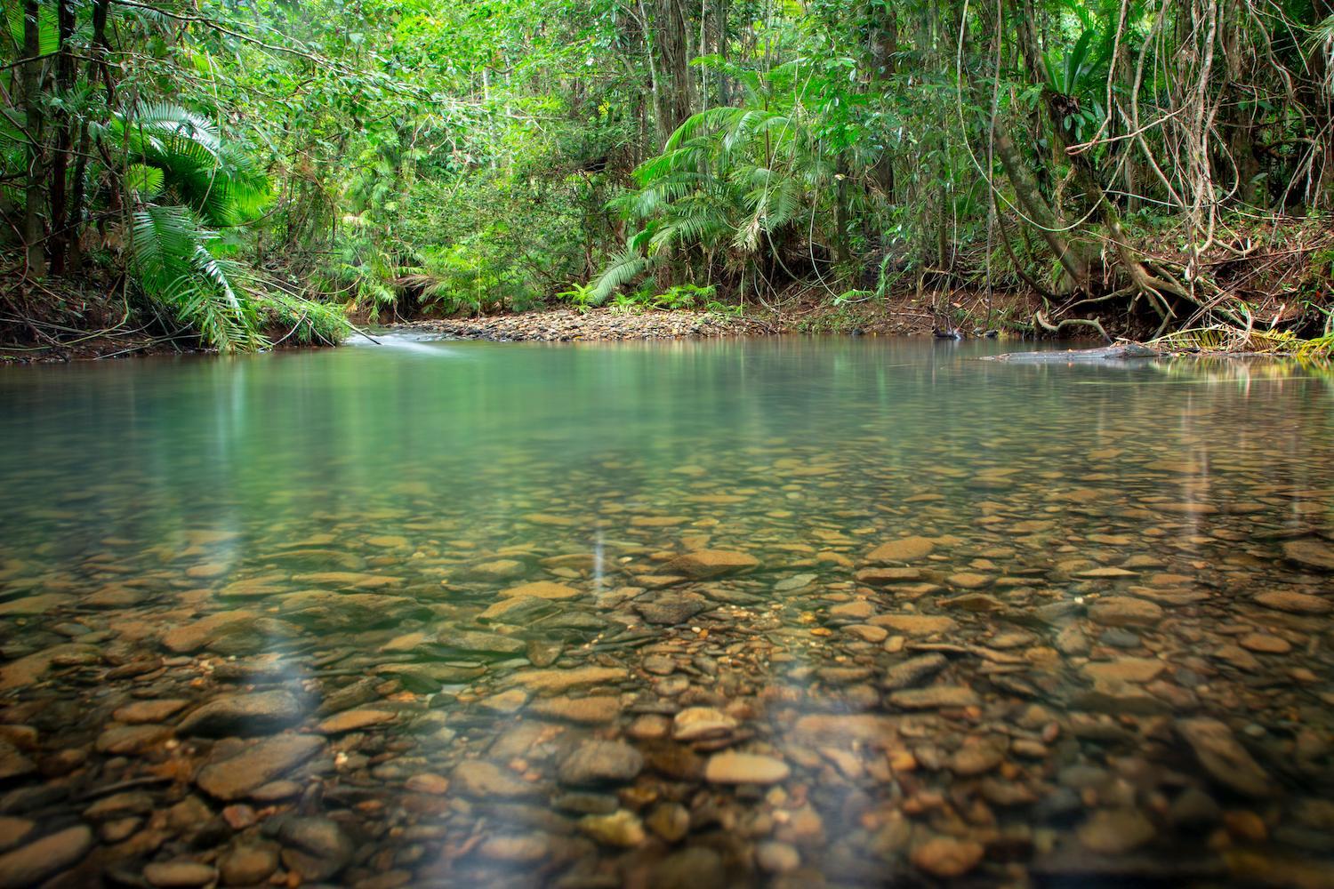 Khu vực xung quanh