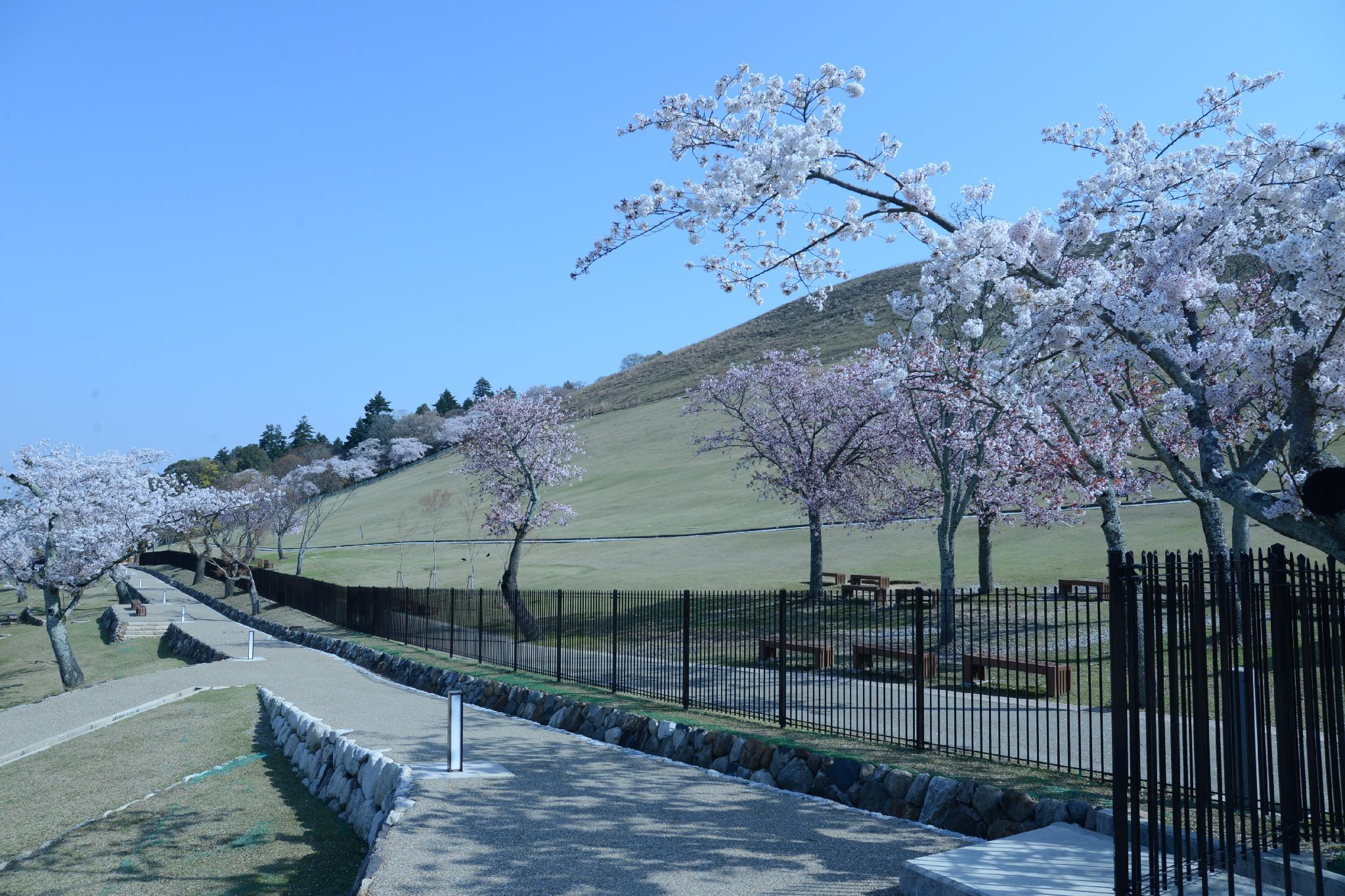 Nơi tham quan gần đây