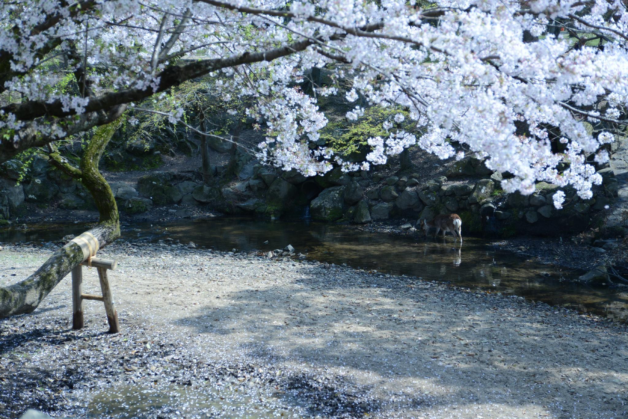 Khu vực xung quanh