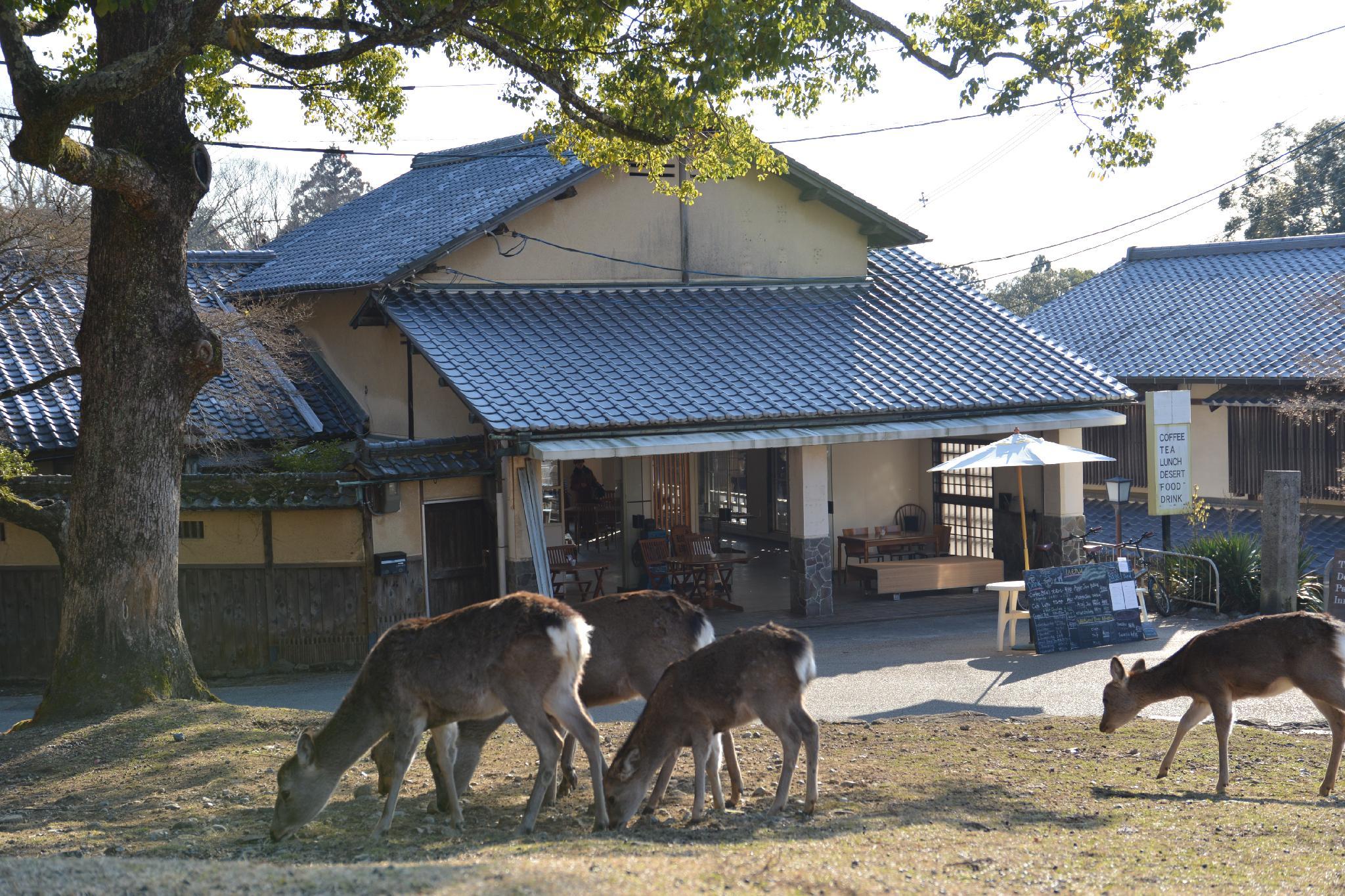 Khu vực xung quanh