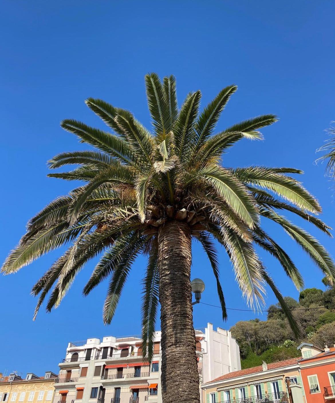 Khu vực xung quanh