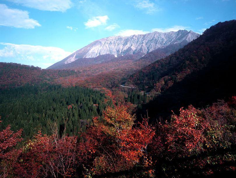 Khu vực xung quanh