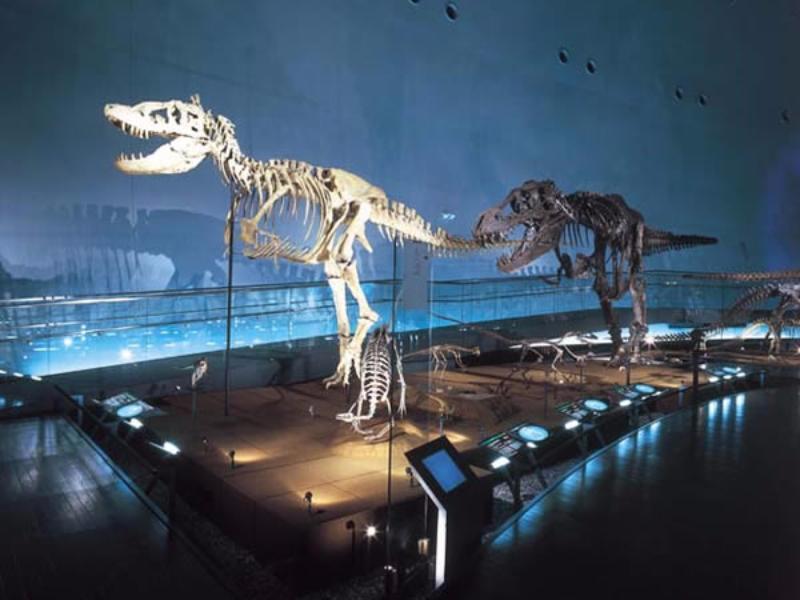 Nơi tham quan gần đây