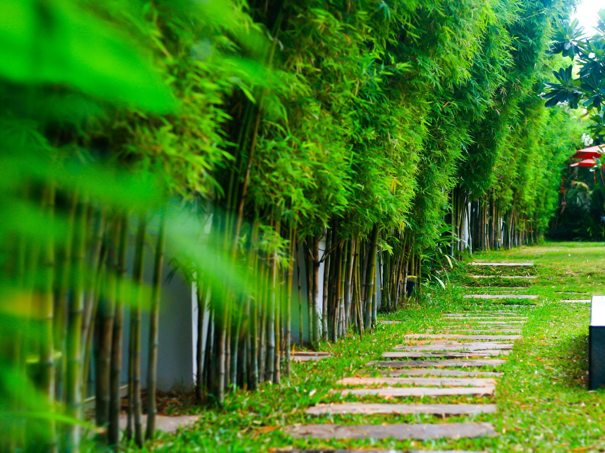 Khu vực xung quanh