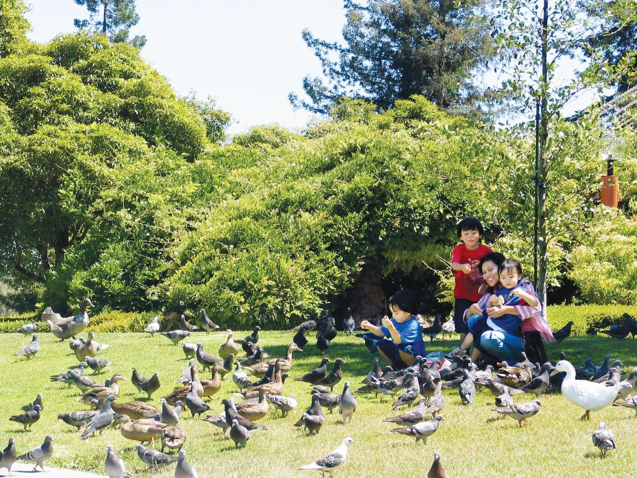 Nơi tham quan gần đây