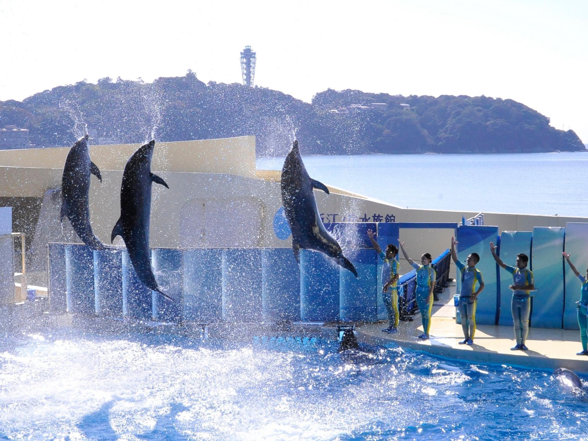 Nơi tham quan gần đây