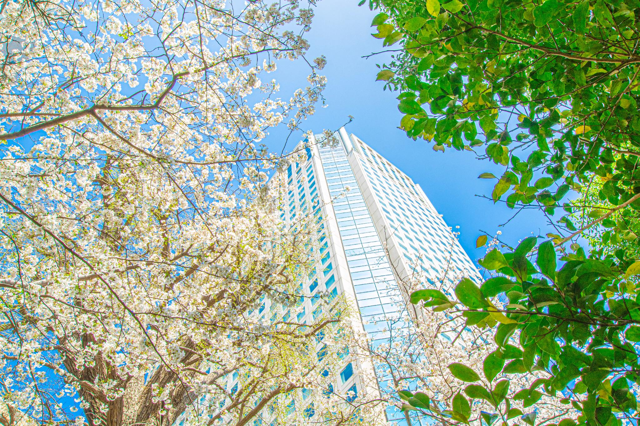 Ngoại cảnh khách sạn