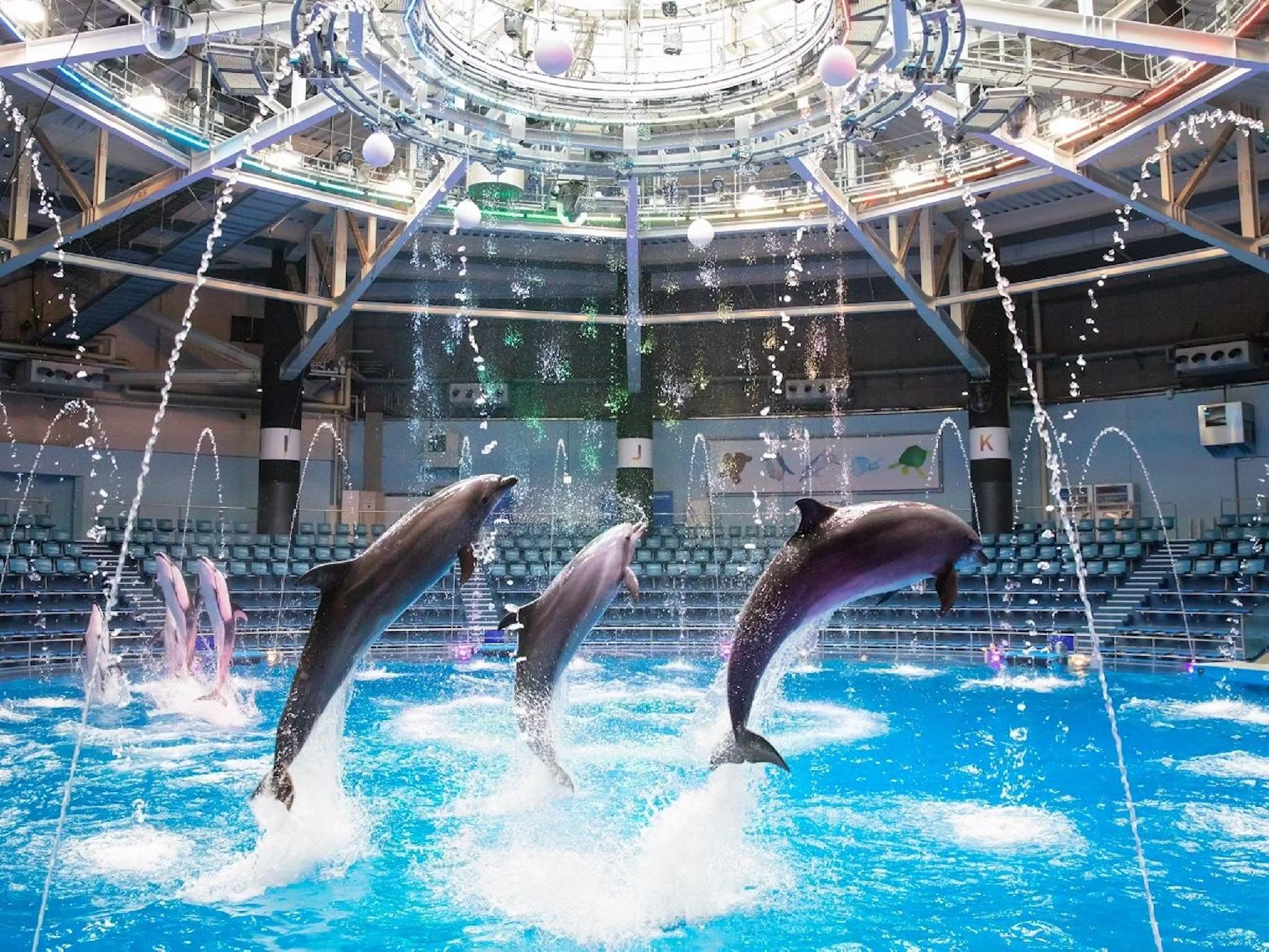 Nơi tham quan gần đây