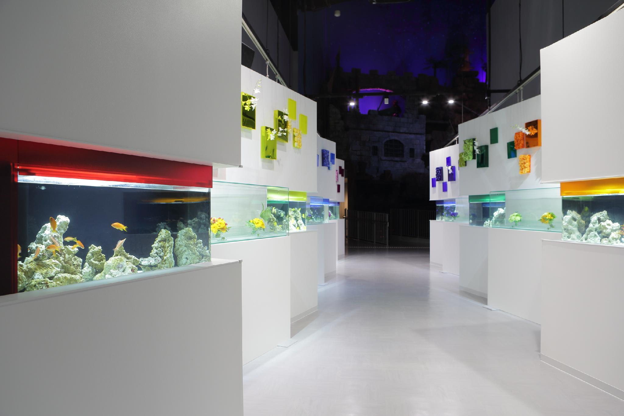 Nơi tham quan gần đây