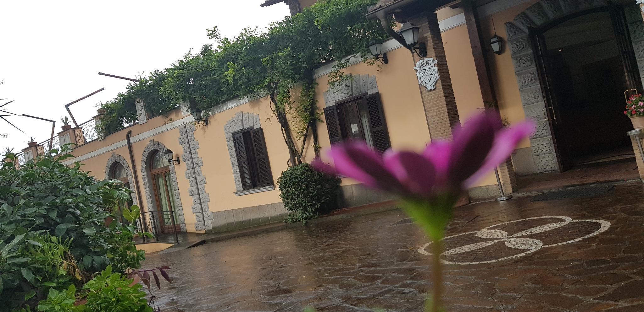 Ngoại cảnh khách sạn