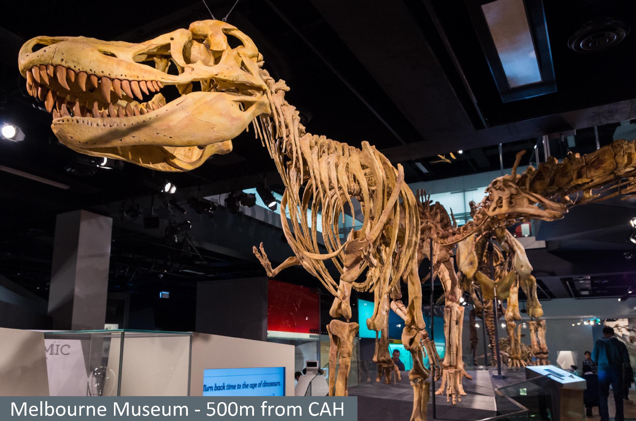 Nơi tham quan gần đây