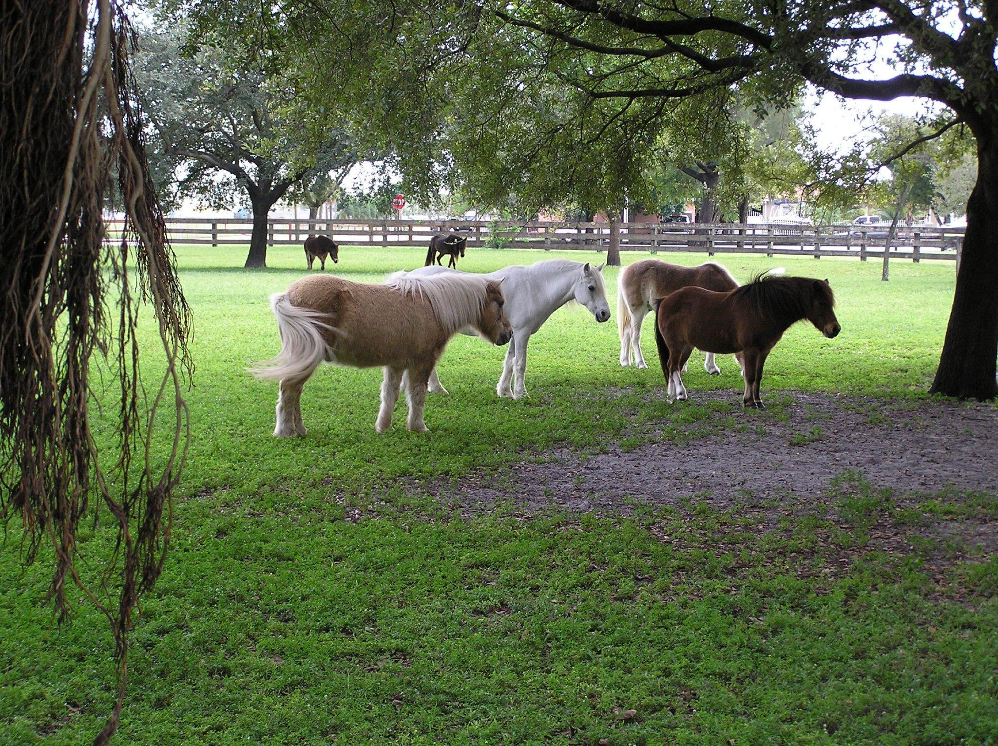Khu vực xung quanh