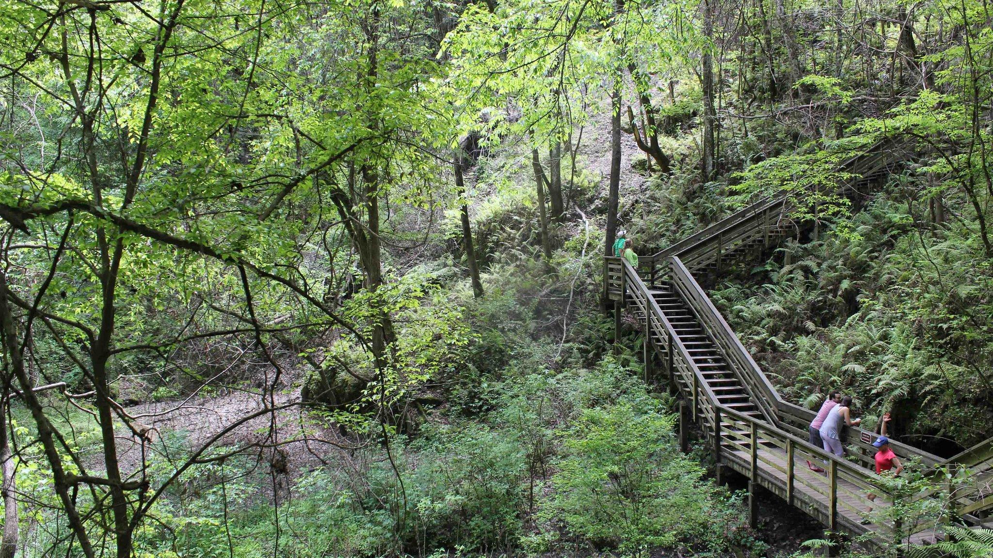 Khu vực xung quanh