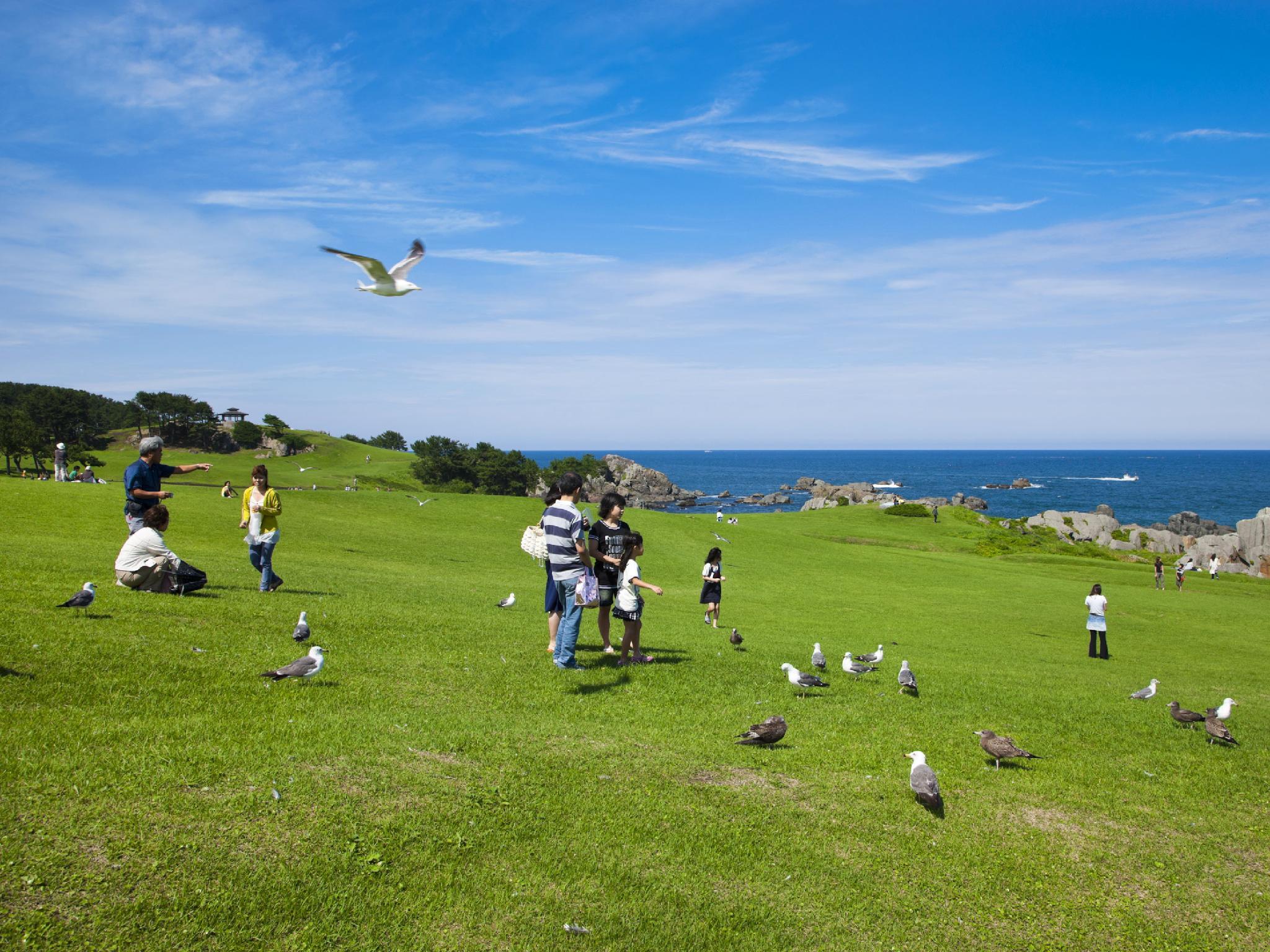 Nơi tham quan gần đây