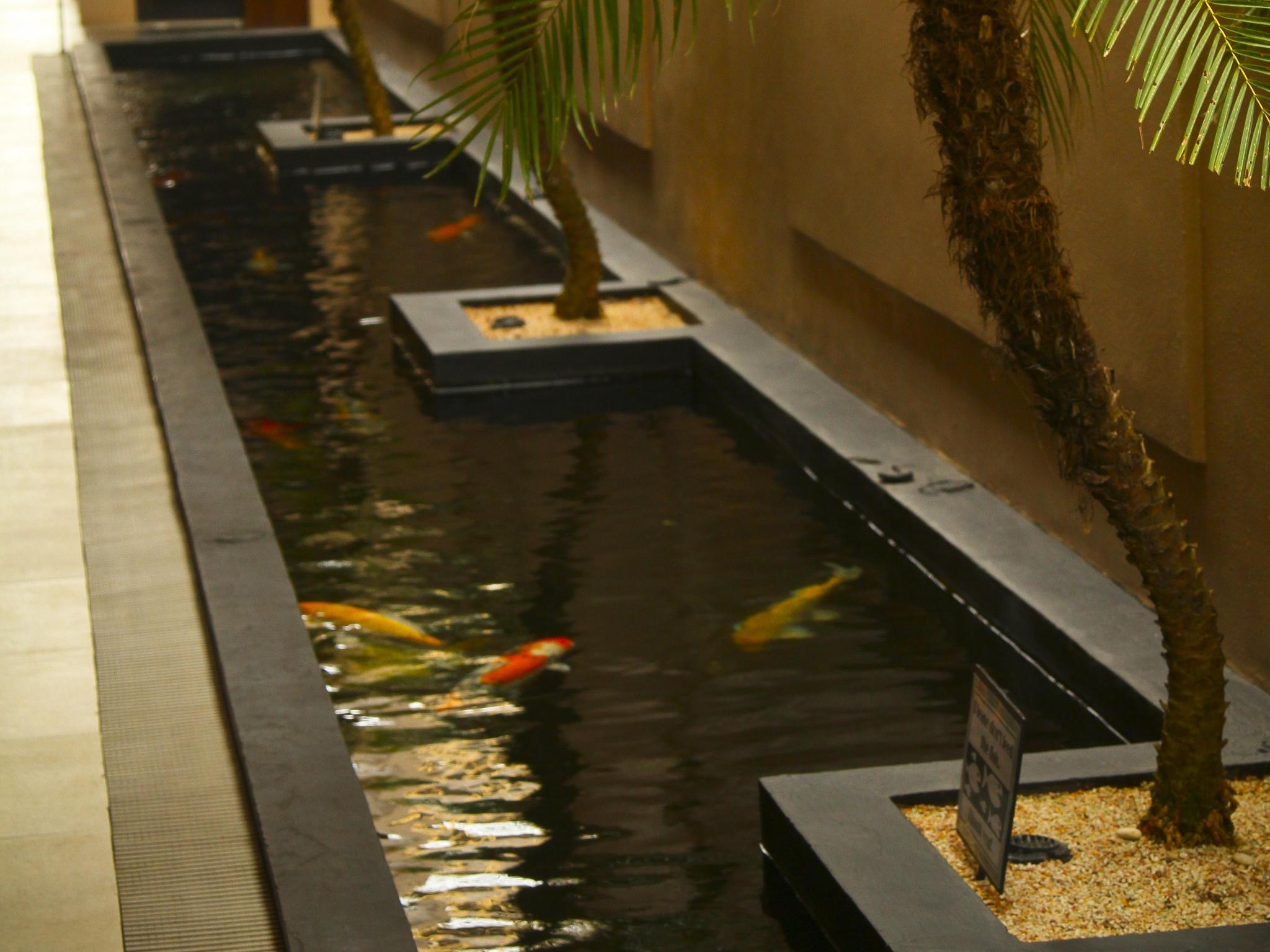 Nội thất khách sạn