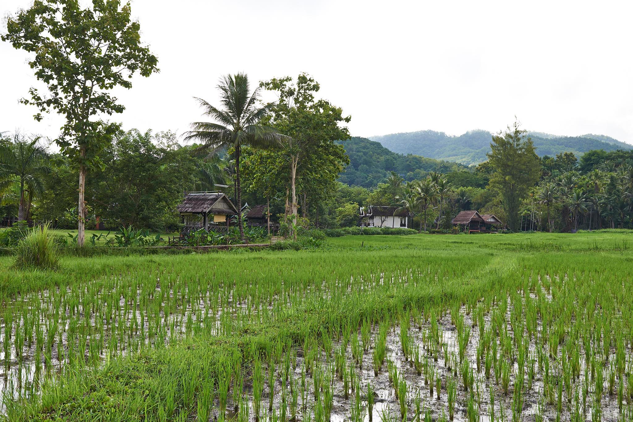 Ngoại cảnh khách sạn