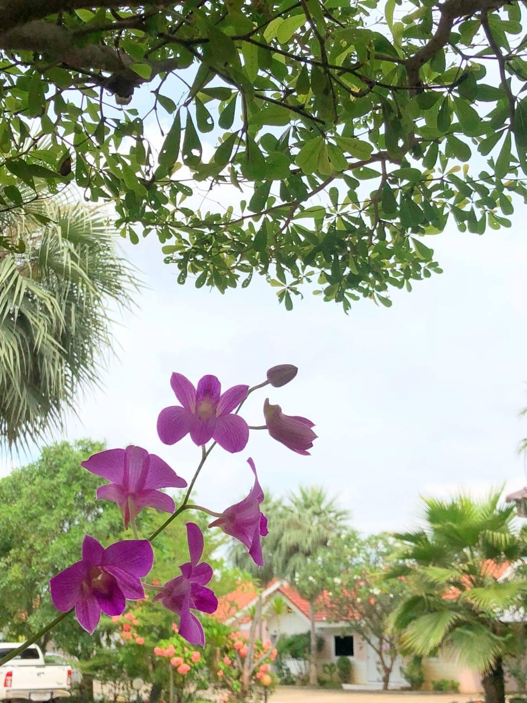 Nội thất khách sạn