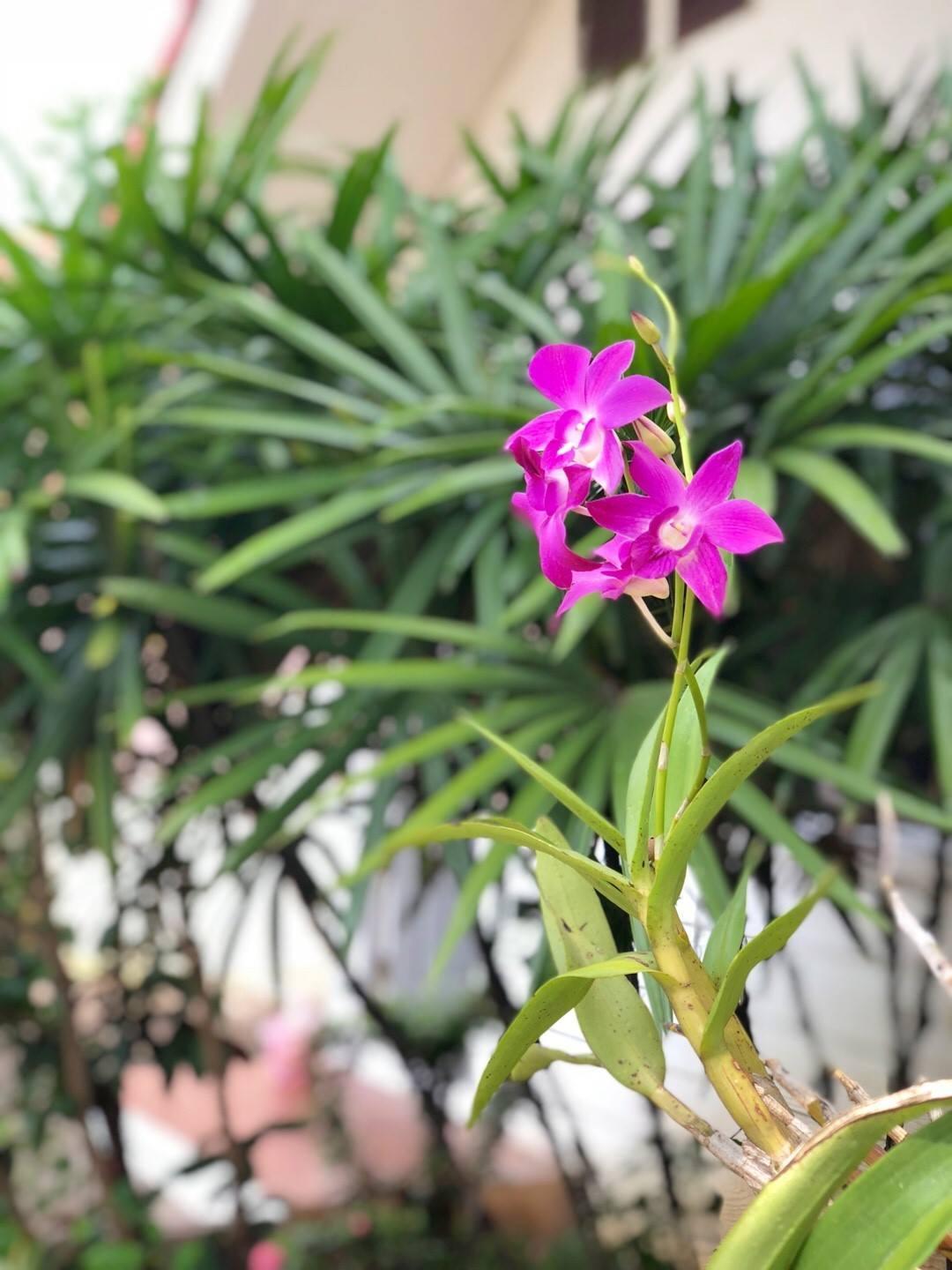 Nội thất khách sạn