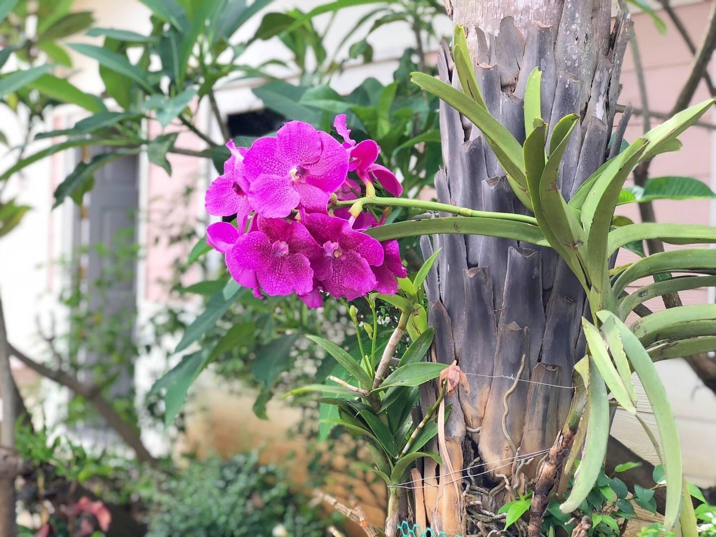 Nội thất khách sạn