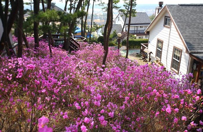 Nội thất khách sạn