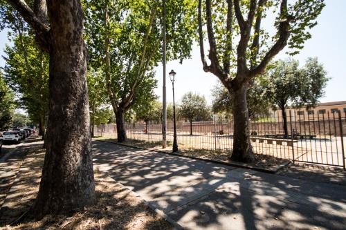 Khu vực xung quanh