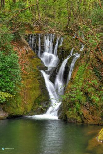 Khu vực xung quanh