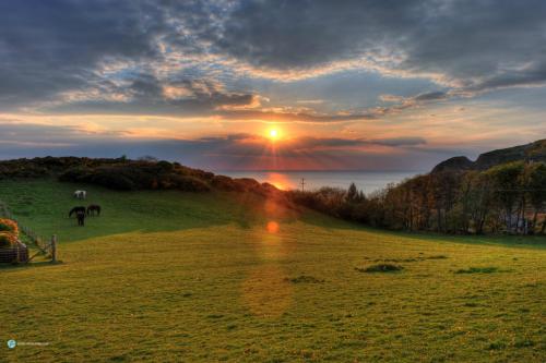 Khu vực xung quanh