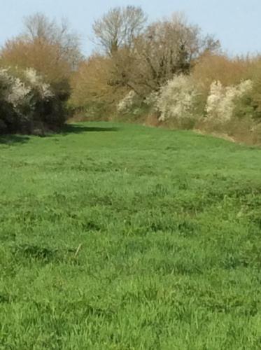 Khu vực xung quanh