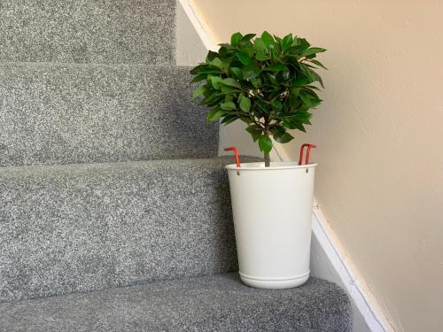 Cơ sở vật chất