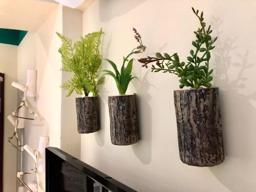 Cơ sở vật chất