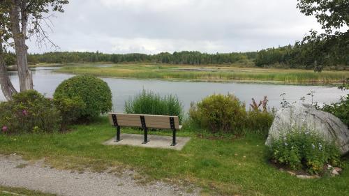 Tiện nghi giải trí