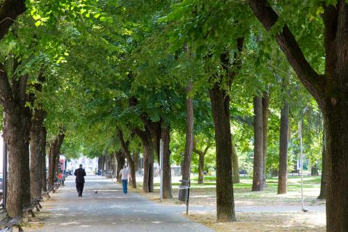 Khu vực xung quanh